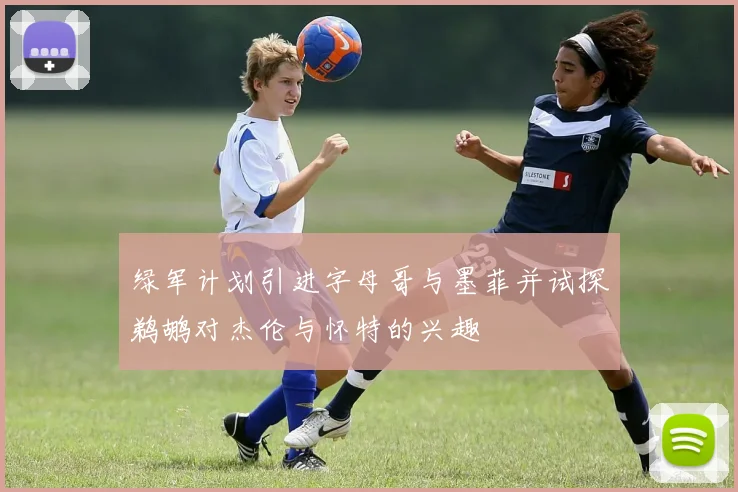绿军计划引进字母哥与墨菲并试探鹈鹕对杰伦与怀特的兴趣